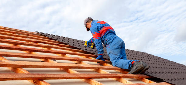 Best Steel Roofing  in Latta, SC
